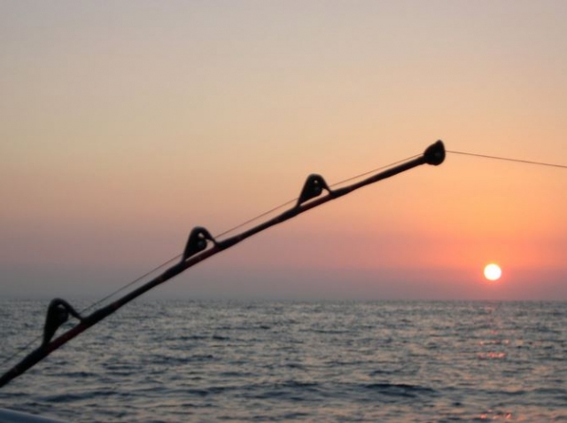  La pêche sportive en mer 